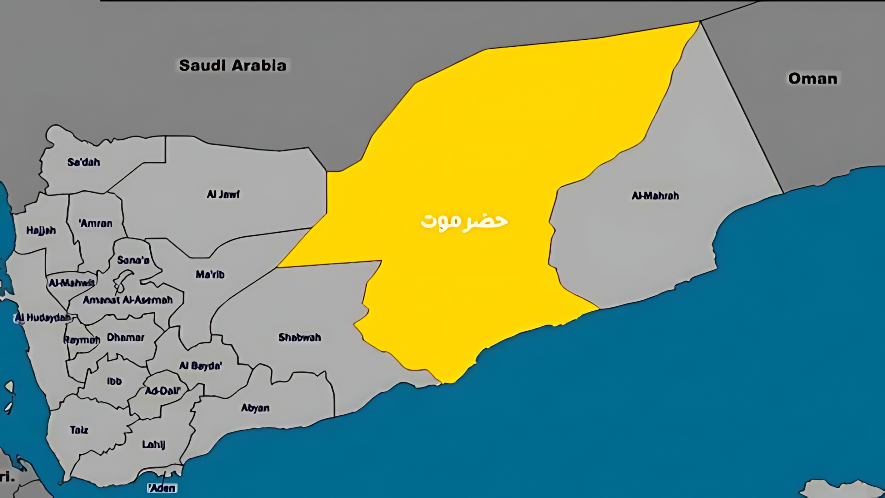 Nobel Laureate Calls for Immediate Withdrawal of STC from Hadramawt